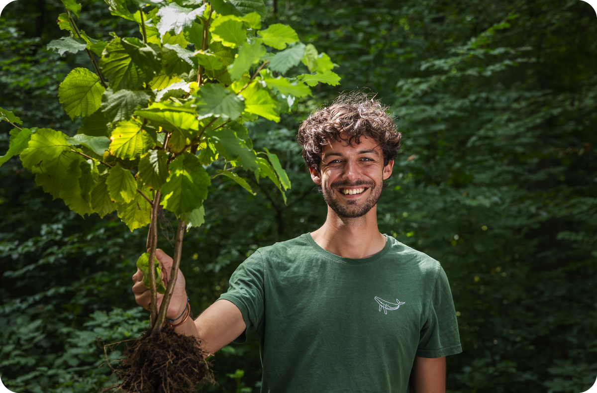 Een glimlachende man in een groen t-shirt houdt een boompje met wortels vast. Hij staat in een groen bos.