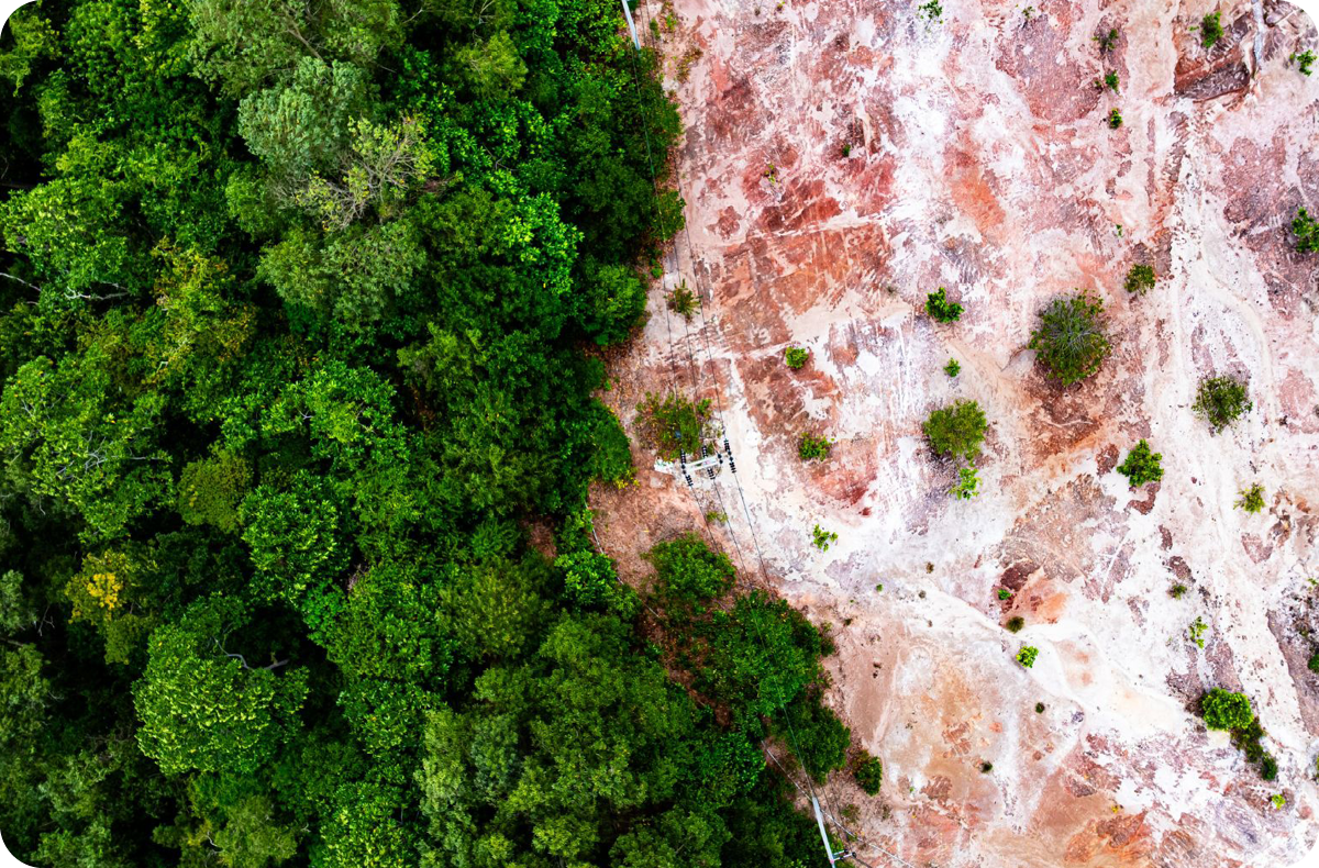 Luchtfoto van een dicht, groen bos naast een kaal, rotsachtig landschap die de schade van de illegale houtkap laat zien.