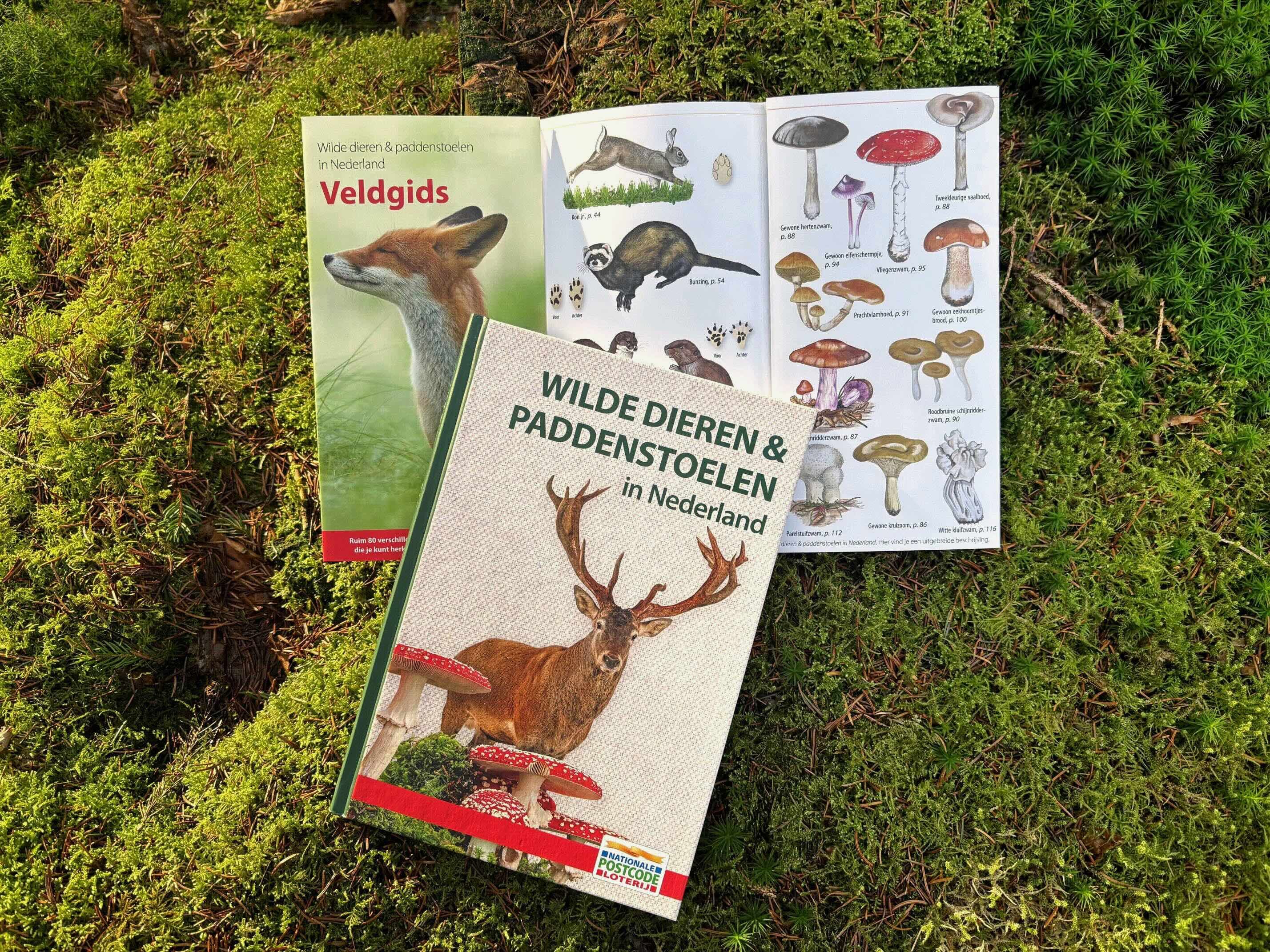 Boek over Nederlandse wilde dieren en paddenstoelen ligt op een opgeslagen veldgids op het mos, met illustraties van dieren en paddenstoelen.